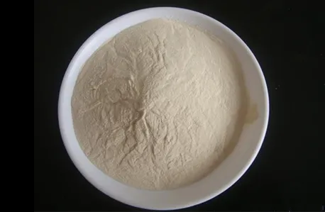 Carboxymethyl Chitosan